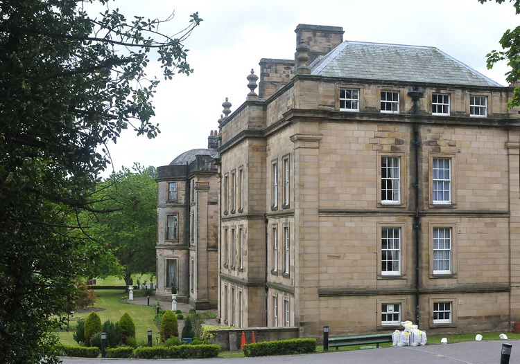 Fungo d''oltre manica